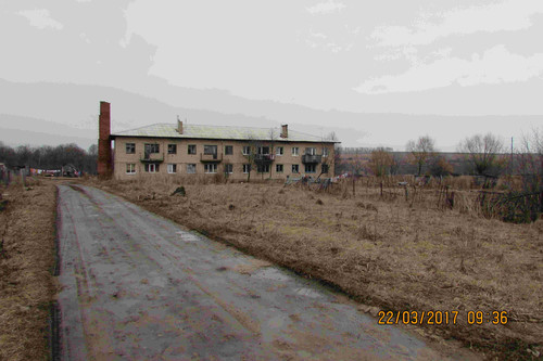 д. Кривая Лука
